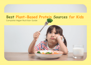 Plant Based Protein Sources